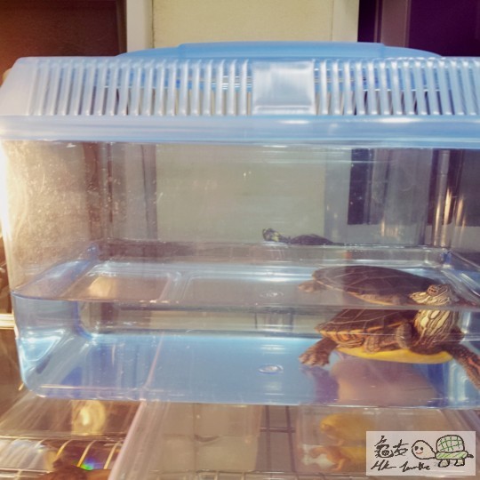 坐監了.jpg