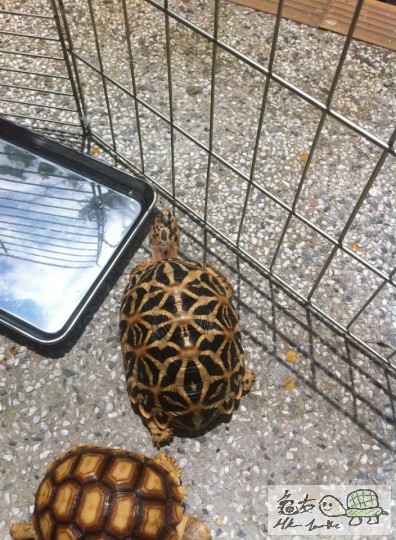 曬緊太陽，我好影我個睡姿啦