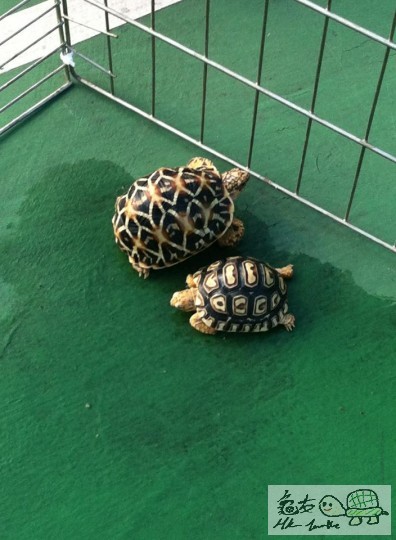 曬住太陽真舒服