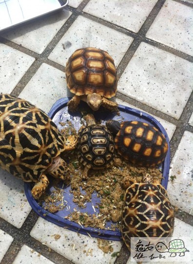 開飯啦，好好味