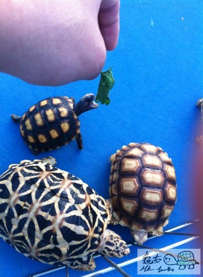 明明系兒童節，你系都要玩我