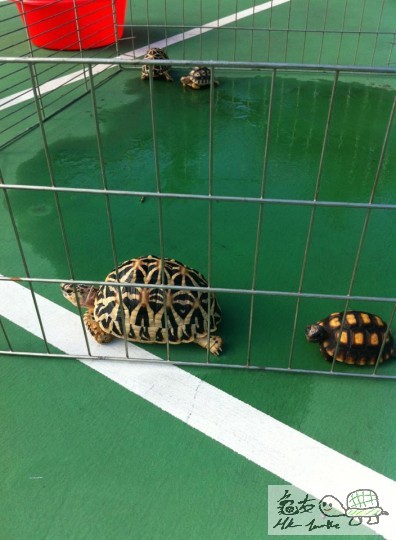 神早流流帶我落街曬太陽，我都未訓醒