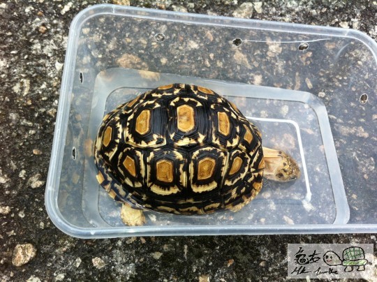 曬完,潛水式飲水