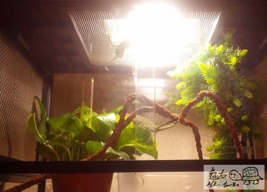 IMG_20130610_175754 (1).jpg