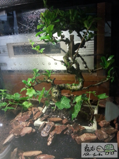 2013-06-10 22.02.25.png