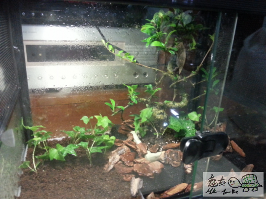 2013-06-10 22.02.42.png