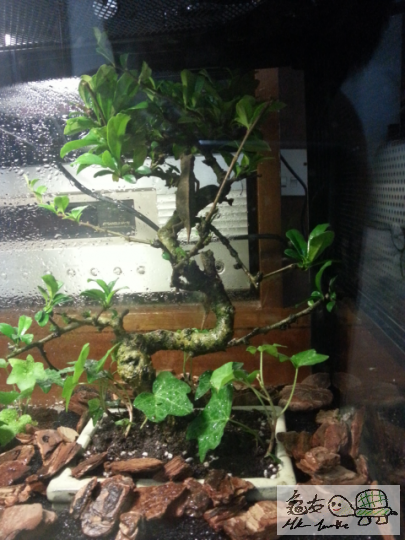 2013-06-10 22.03.17.png