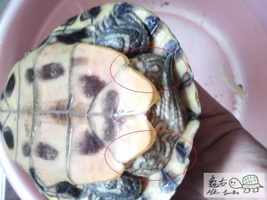 2013-06-27 13.21.57.jpg