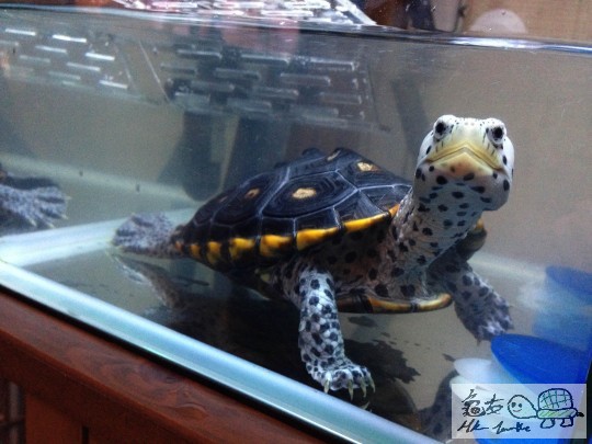 2013-07-25 21.58.00.jpg