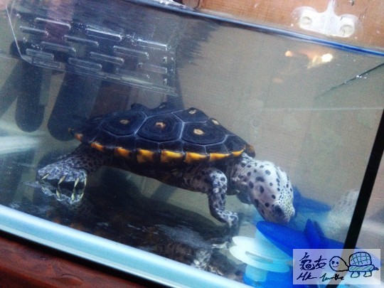 2013-07-25 22.01.52.jpg