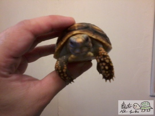 2013-08-02 15.43.01.jpg