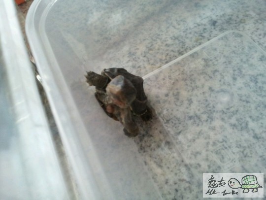 你身上有粒糧，我想幫你拿掉