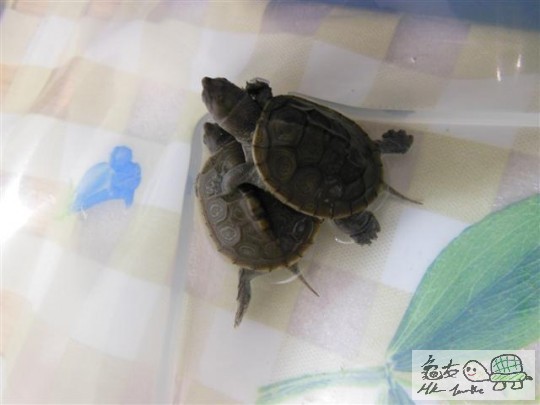 DSCN0572 (Small).JPG