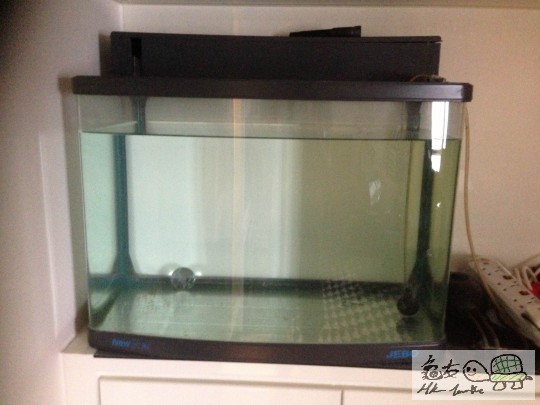 之前用落果缸~換左新頂濾,加左暖管