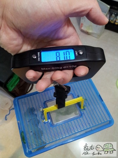 最大50KG,以每10G做單位,有LED燈