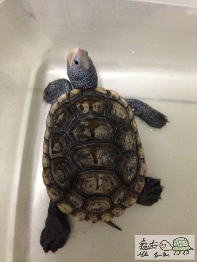 2013-09-08 20.46.34.jpg