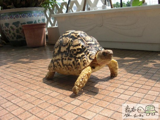 放假曬太陽 (1).jpg