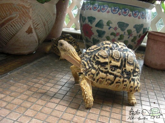 放假曬太陽 (3).jpg