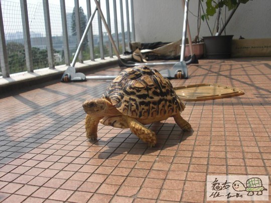 放假曬太陽 (5).jpg