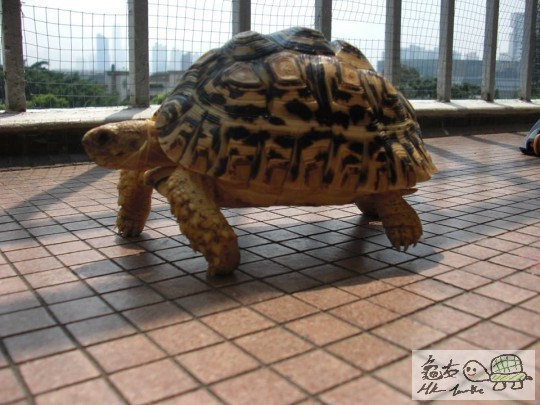 放假曬太陽 (6).jpg