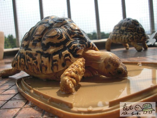 放假曬太陽 (8).jpg