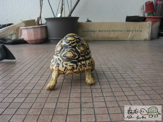 放假曬太陽 (9).jpg