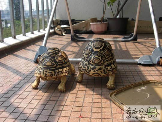 放假曬太陽 (10).jpg