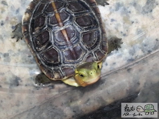 20131003_203749.jpg