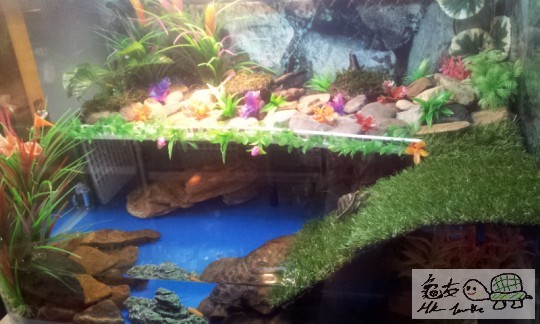 2013-09-11 15.41.24.jpg