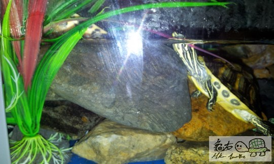 2013-11-07 00.15.49.jpg