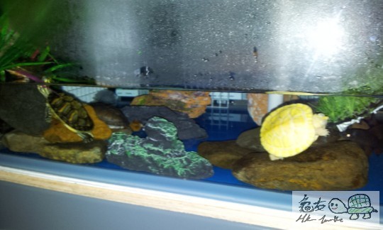 2013-11-07 00.16.21.jpg