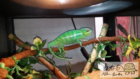 2014-03-23 12.16.02.jpg