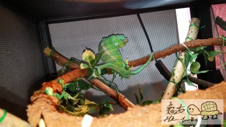 2014-03-23 12.15.52.jpg