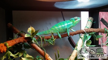 2014-03-23 12.16.13.jpg