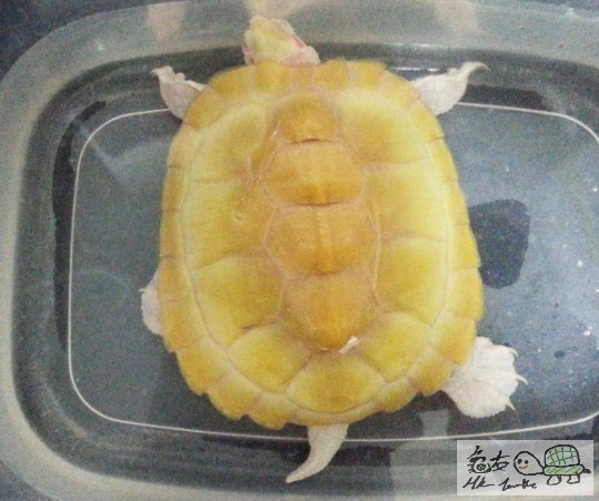 複製 (2) -20140418_193429.jpg