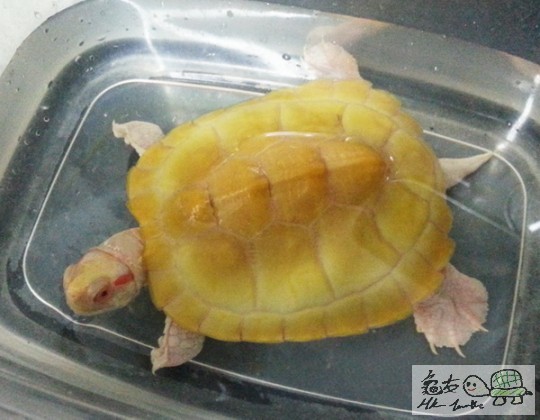 複製 -20140418_193230.jpg