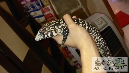 2014-04-20 22.15.32.jpg