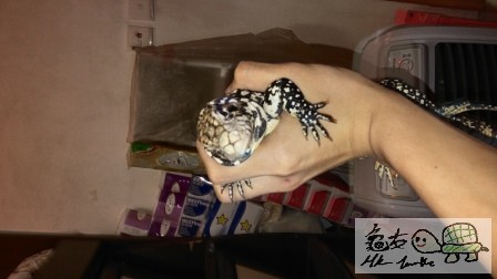 2014-04-20 22.16.07.jpg