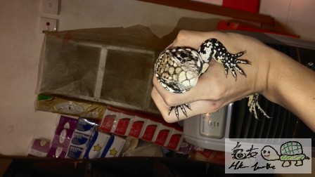 2014-04-20 22.15.41.jpg