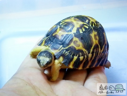 複製 -20140429_154406.jpg