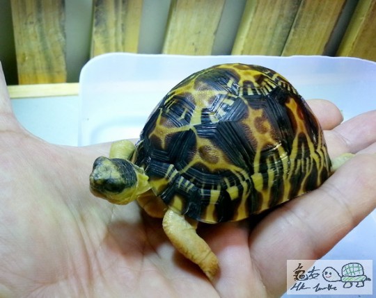 複製 -20140429_154258.jpg