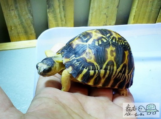 複製 -20140429_154425.jpg