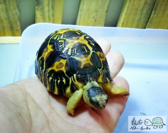 複製 -20140429_154305(0).jpg