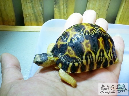 複製 -20140429_154327.jpg