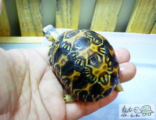 複製 -20140429_154421.jpg