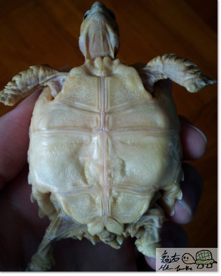 2014-05-02 11.28.41.jpg