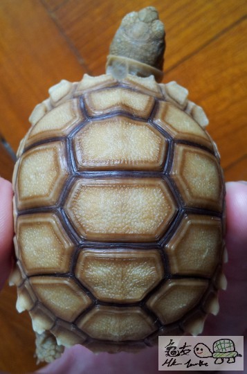 2014-05-02 11.30.02.jpg