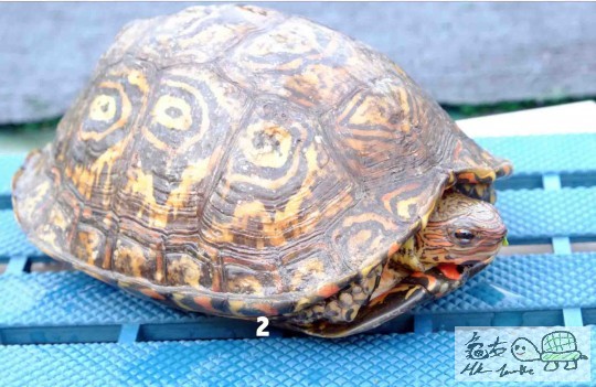 Screen Shot 2014-06-07 at 上午01.04.19 copy.jpg