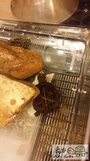 2014-05-22 22.26.49.jpg