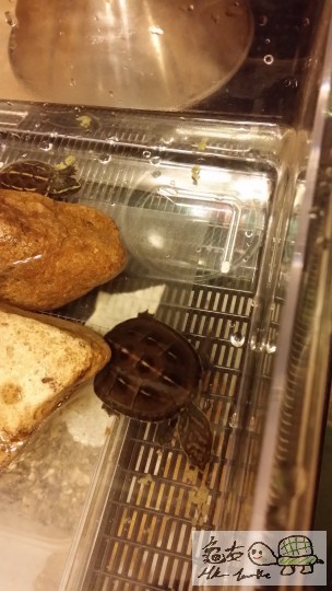 2014-05-22 22.26.58.jpg